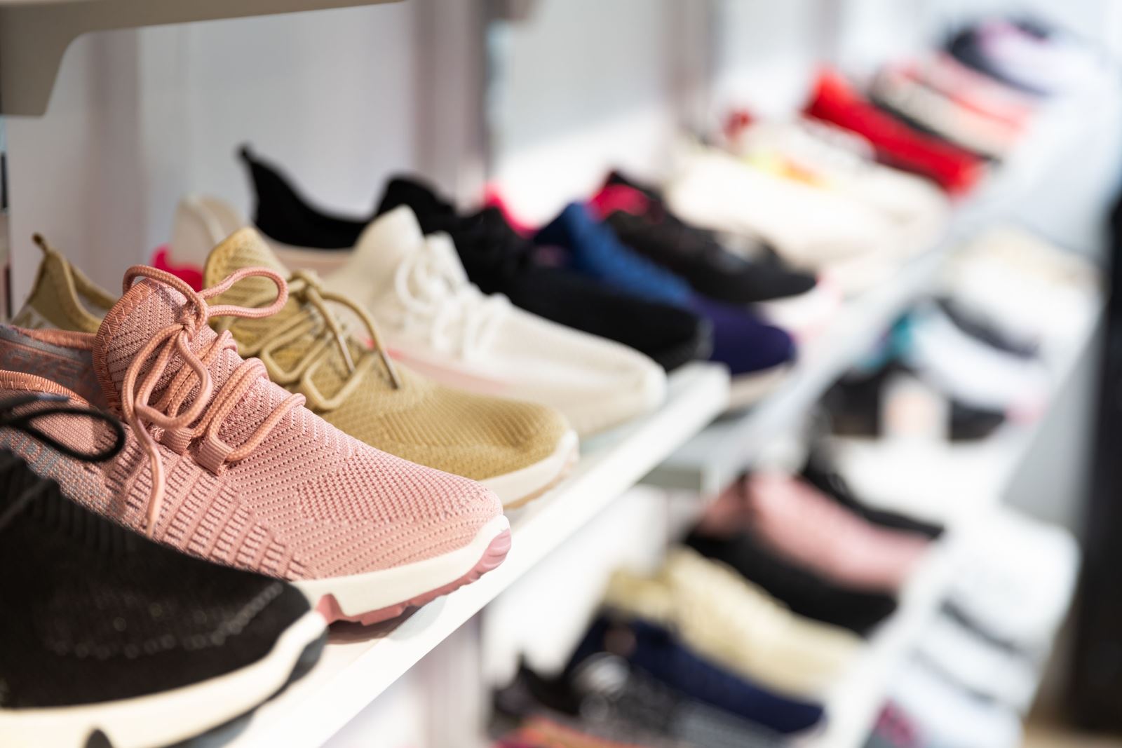 加拿大鞋類與配飾業者示意圖