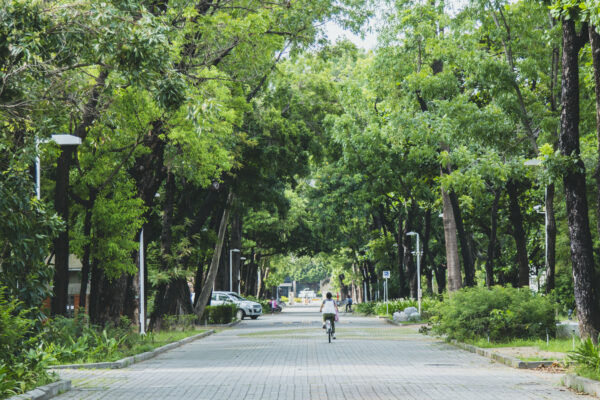 台南成大・散策指南