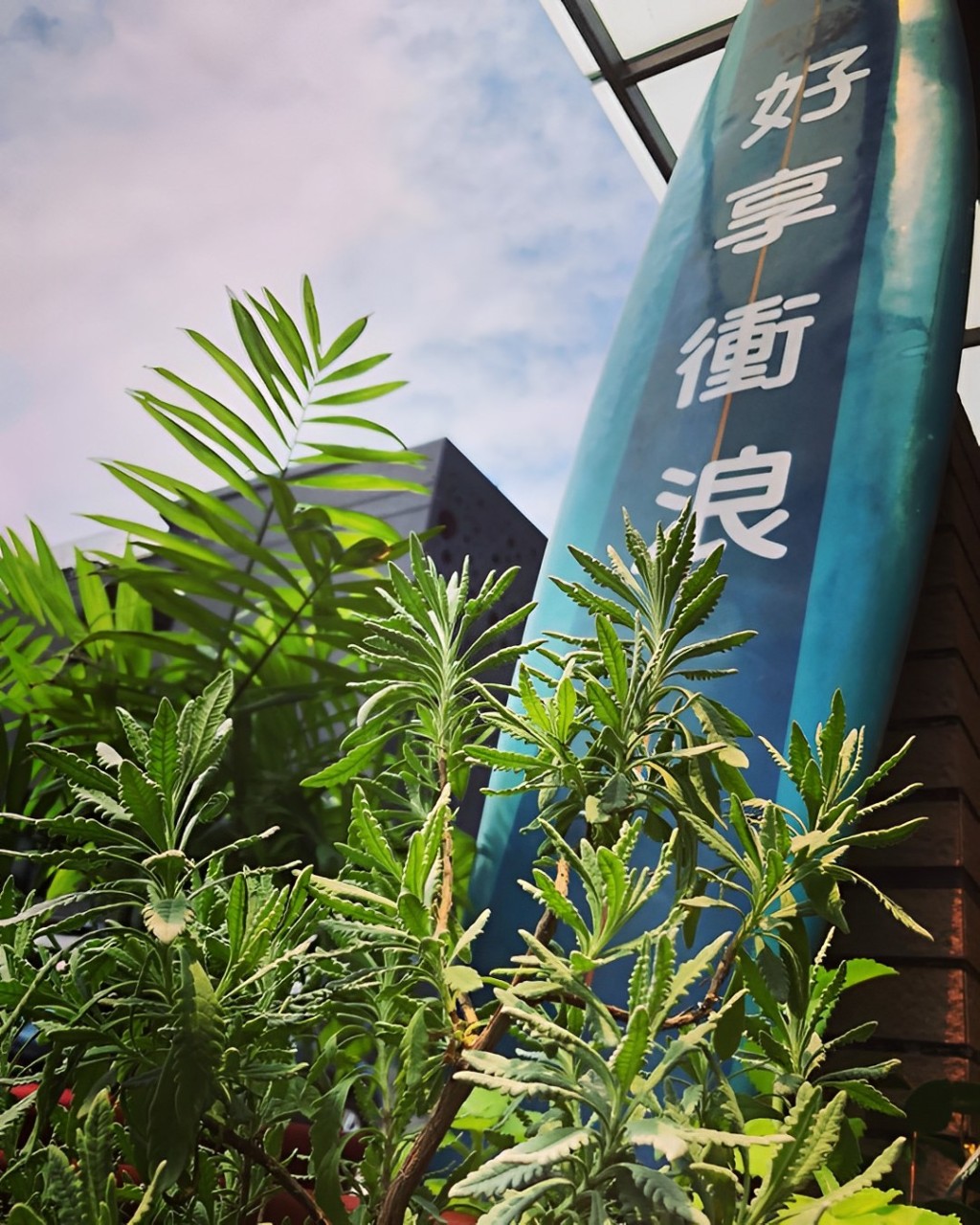 宜蘭頭城・衝浪一條街