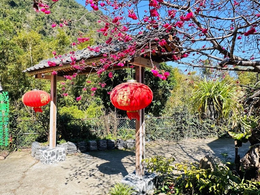 泰安在地食材