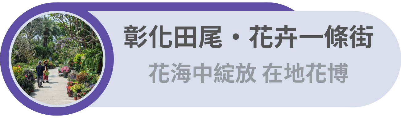 彰化田尾・花卉一條街／在花海中綻放，在地花博